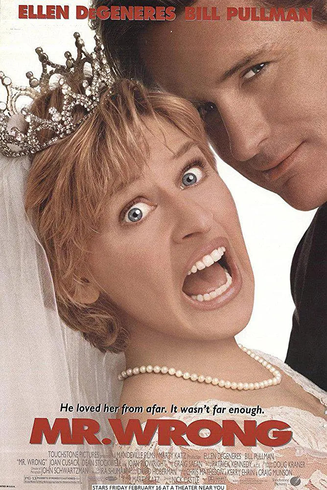 二见钟情之新好男人(全集)