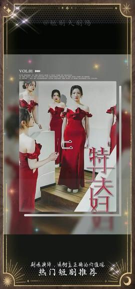 特工夫妇全集(大结局)