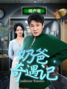 奶爸奇遇记(全集)