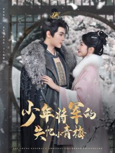 少年将军的失忆小青梅全集(大结局)